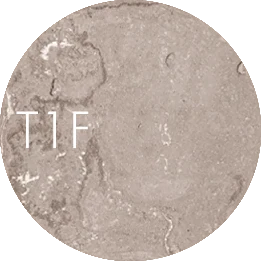 T1F