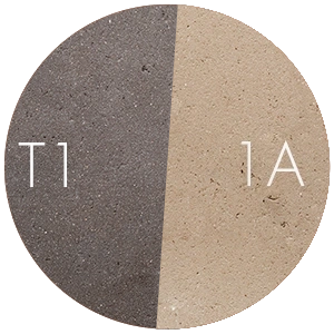 T1 . 1A