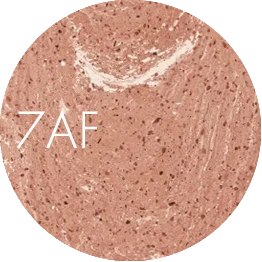 7AF