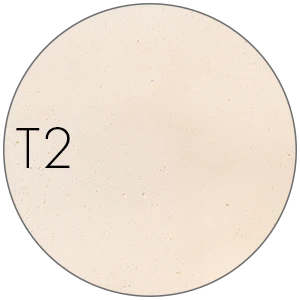 T2