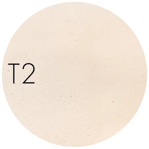 T2