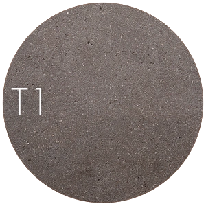 T1