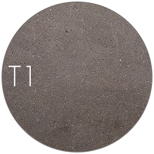 T1