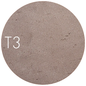 T3