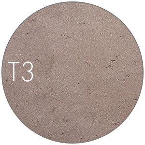 T3