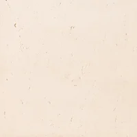 T2
